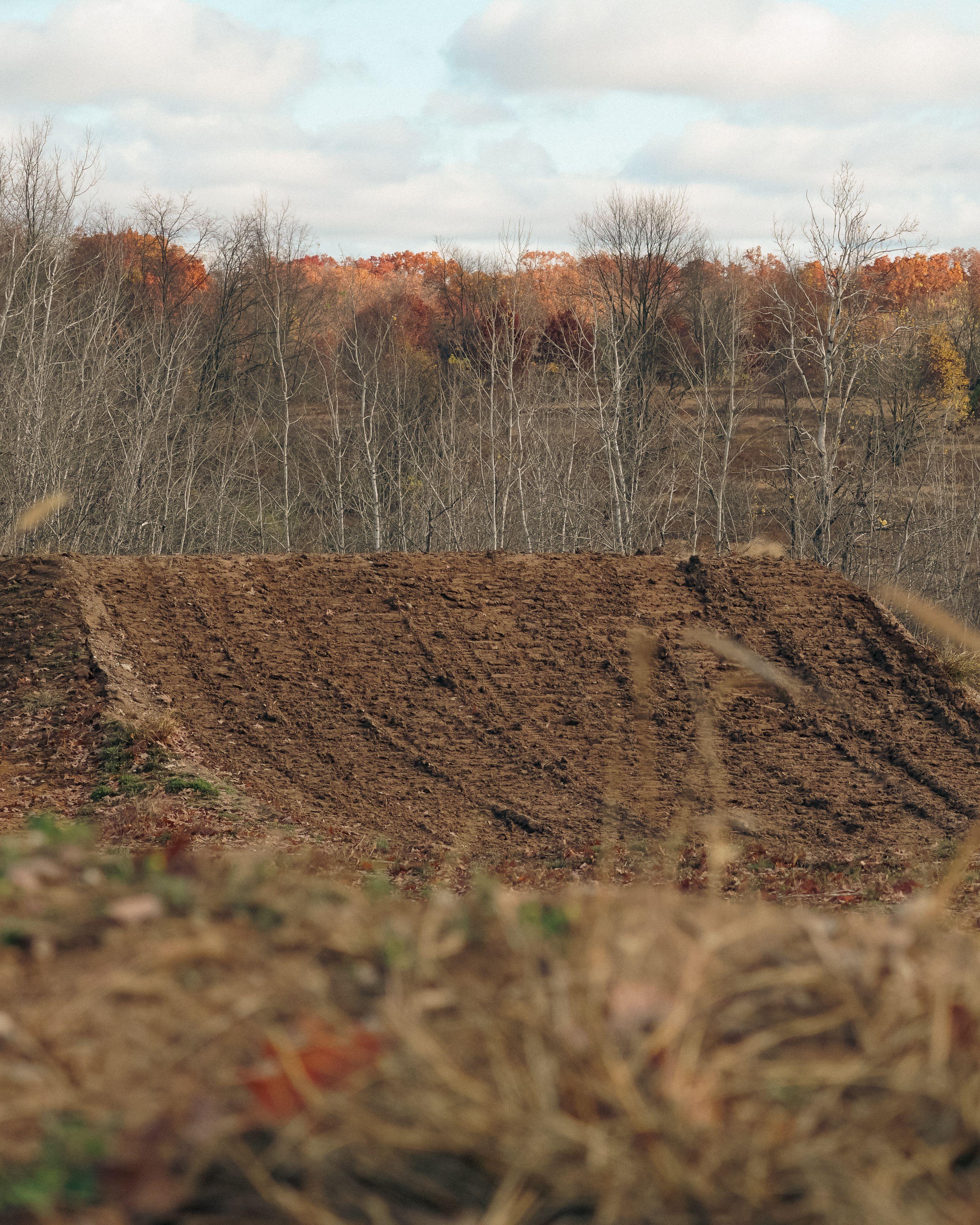 Mecosta MX practice photo
