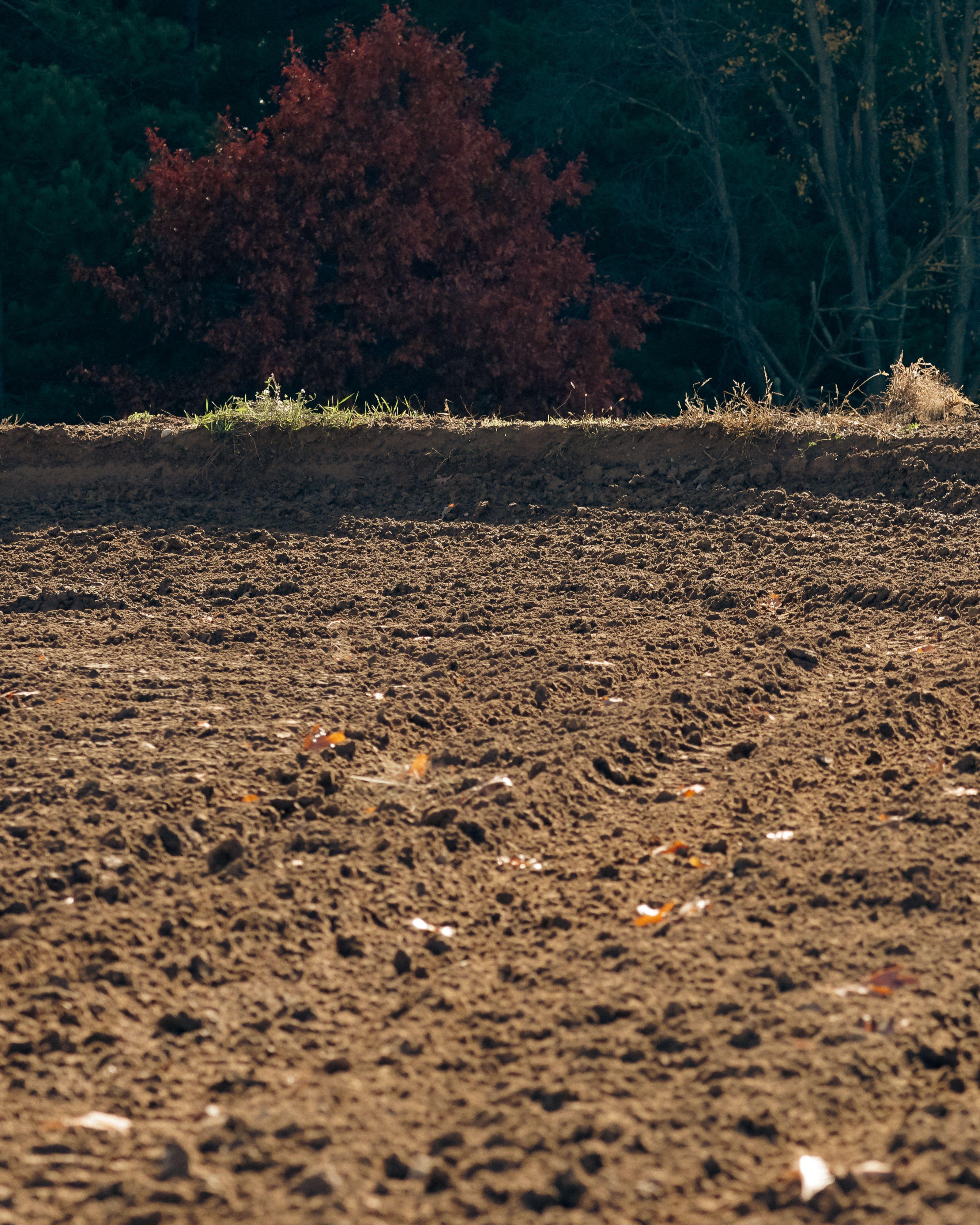 Mecosta MX rider on jump face